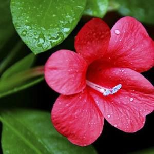 Meet your Posher, Tania